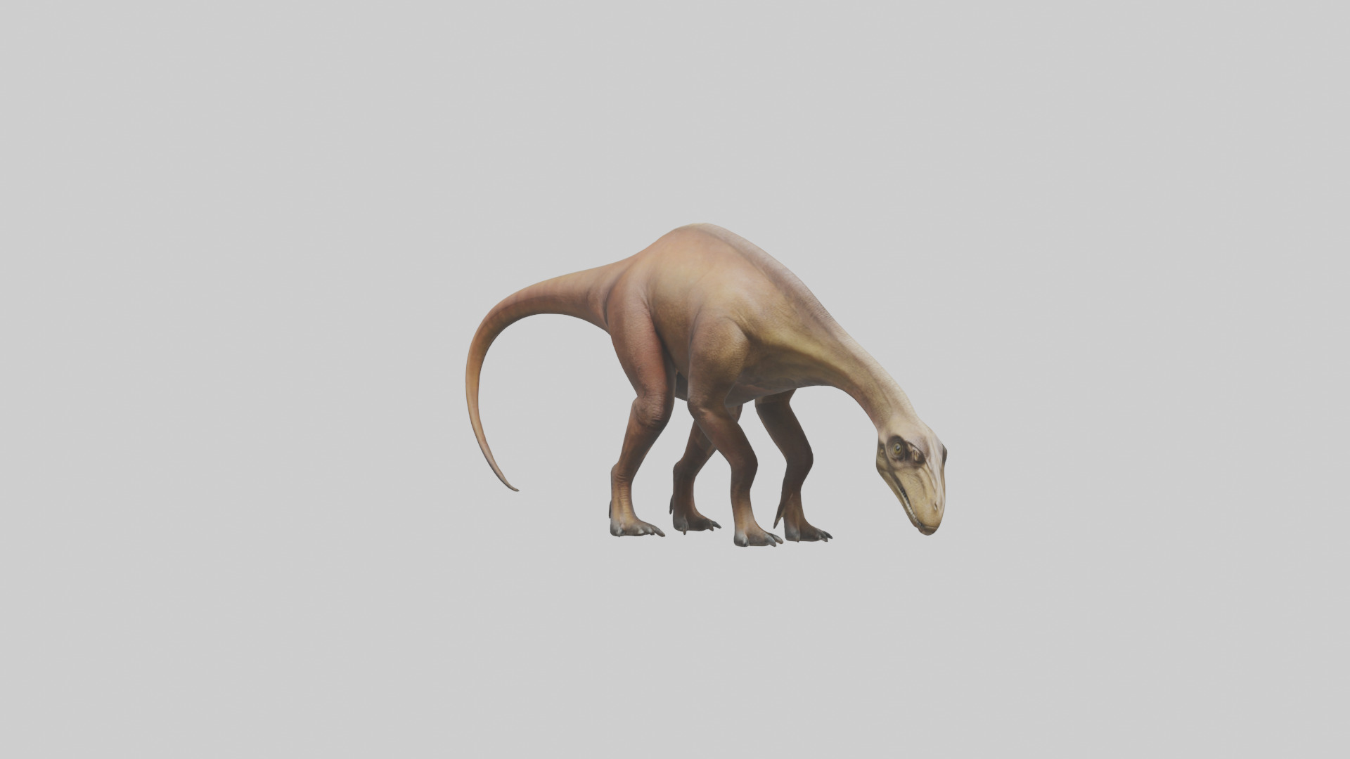 Mamenchisaurus model Low-poly 3D model_7