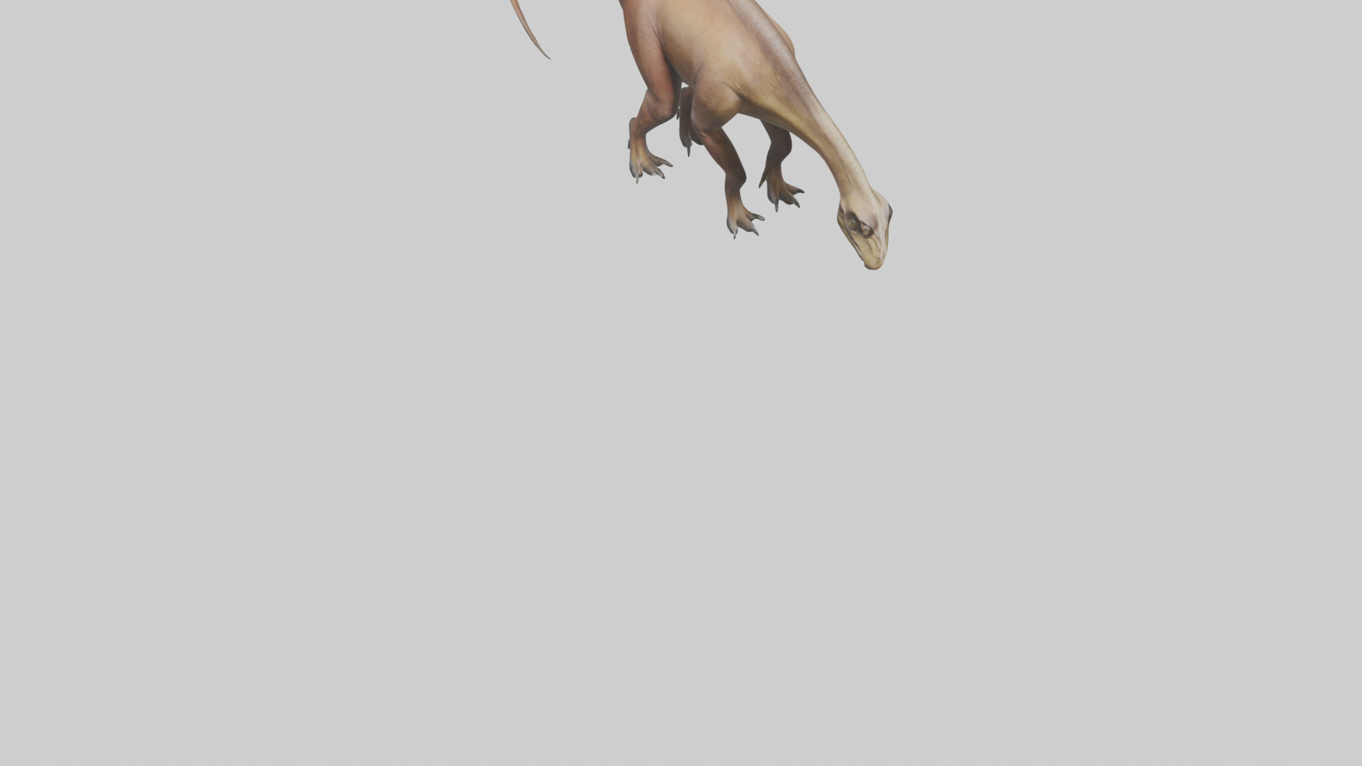 Mamenchisaurus model Low-poly 3D model_6