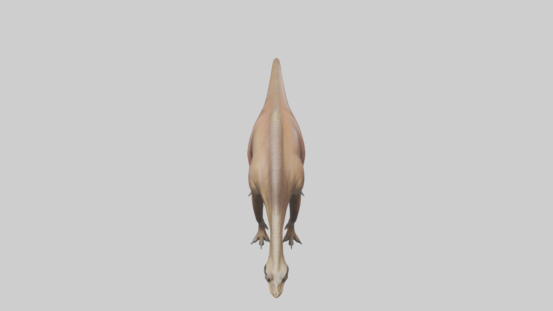Mamenchisaurus model Low-poly 3D model_16