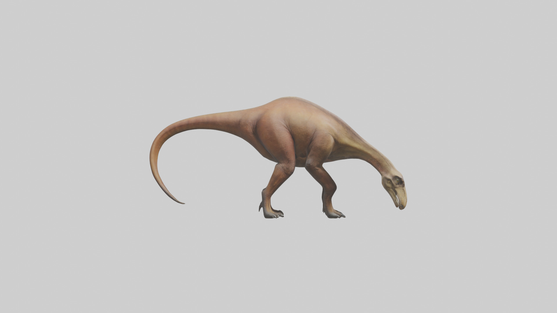 Mamenchisaurus model Low-poly 3D model_13