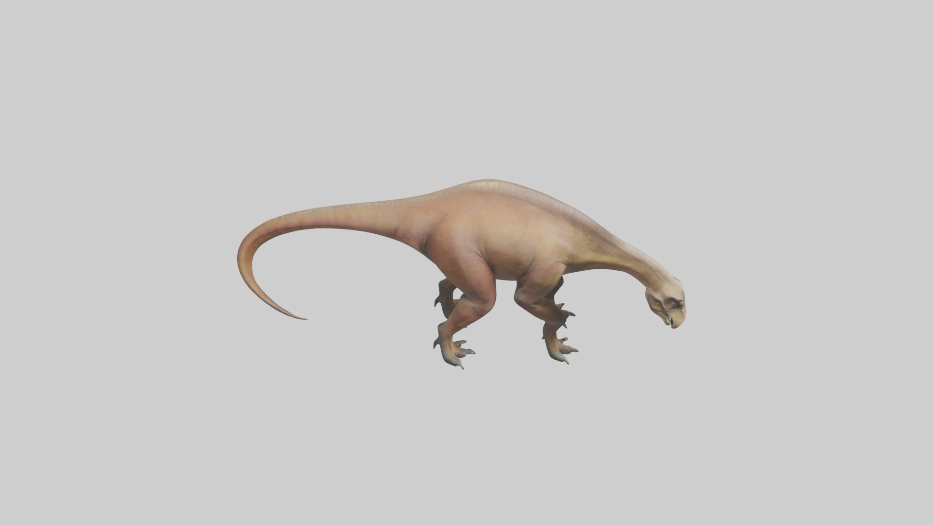 Mamenchisaurus model Low-poly 3D model_18