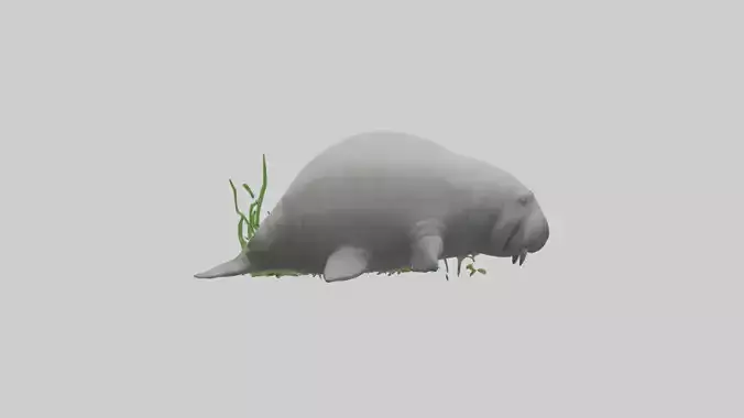 Manatee grazing on seagrass model