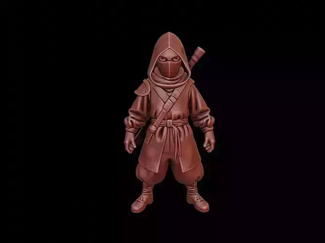 Ninja Figure