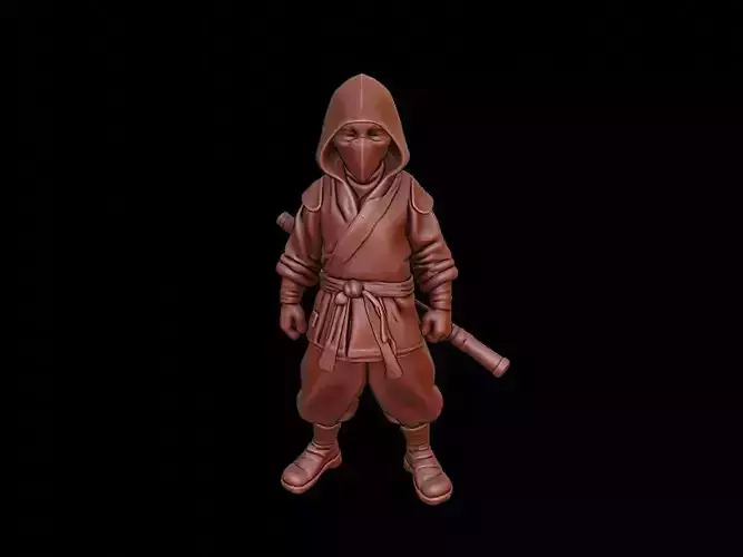 Ninja Figure