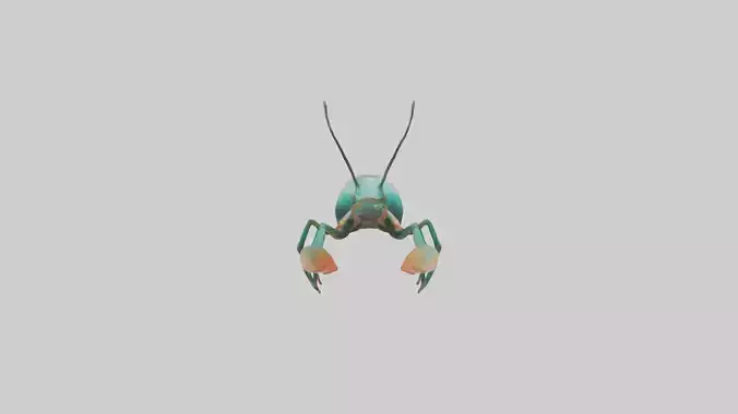 Mantis Shrimp hiding model Low-poly 3D model