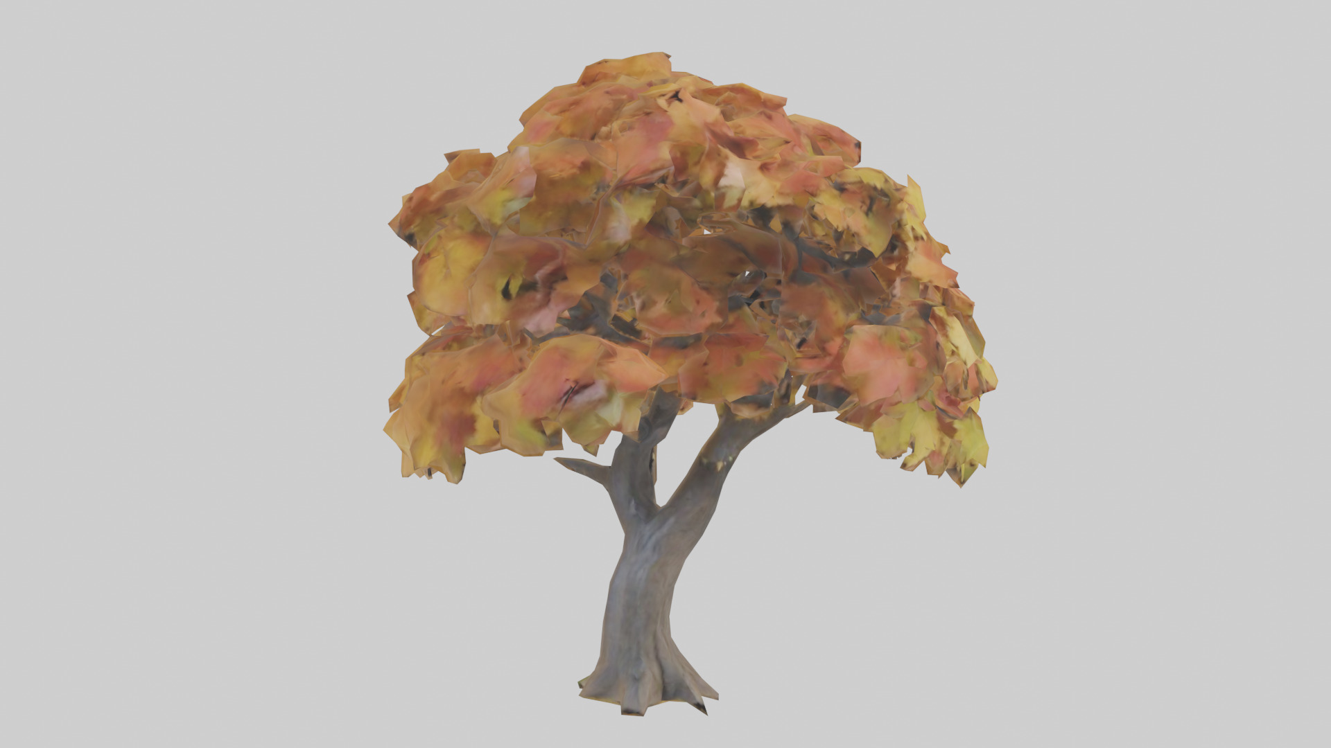 Maple tree model Low-poly 3D model_11