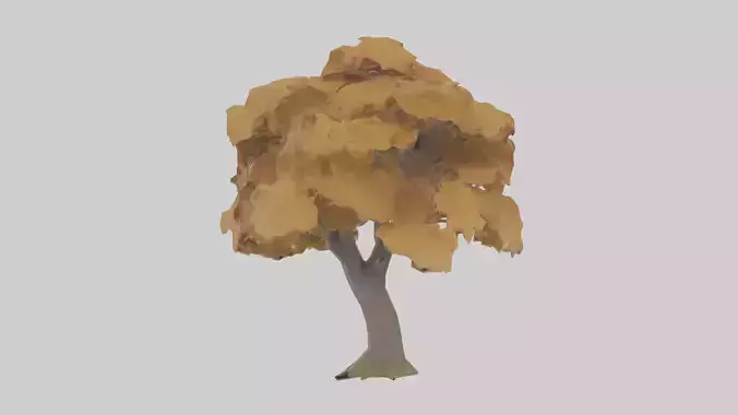 Maple tree model