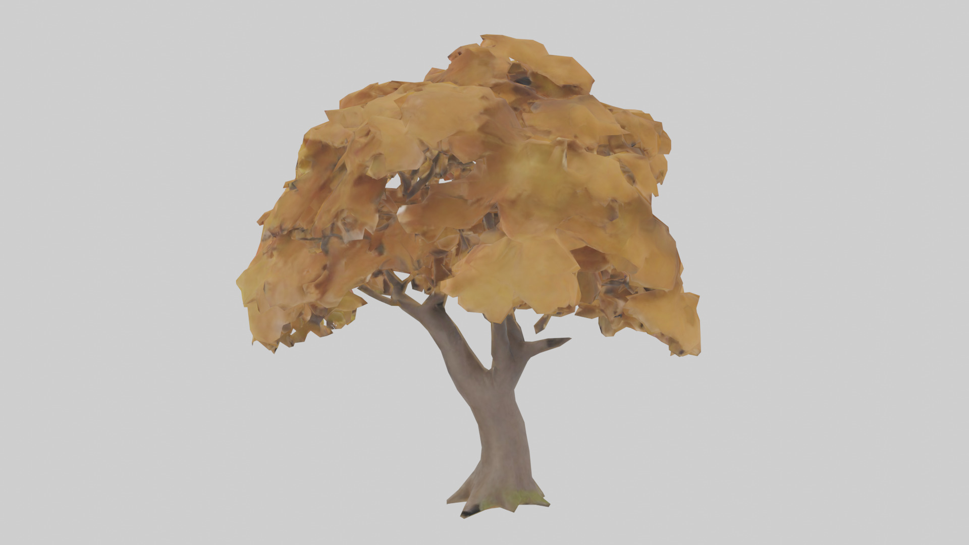 Maple tree model Low-poly 3D model_1