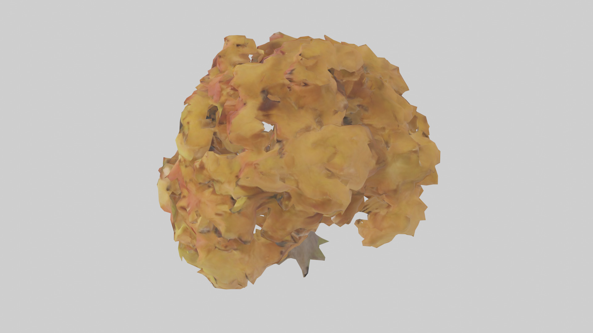 Maple tree model Low-poly 3D model_17