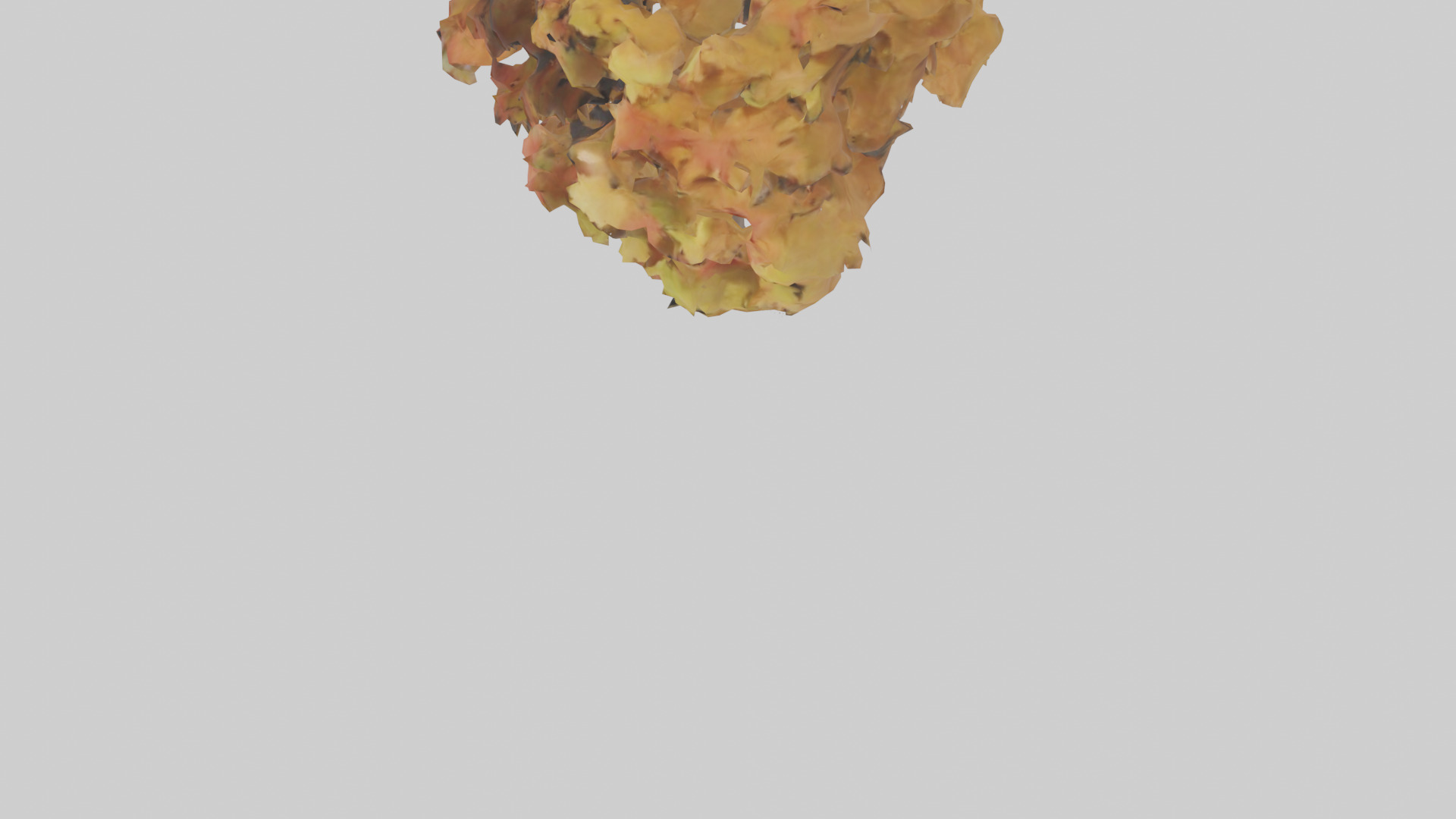 Maple tree model Low-poly 3D model_5