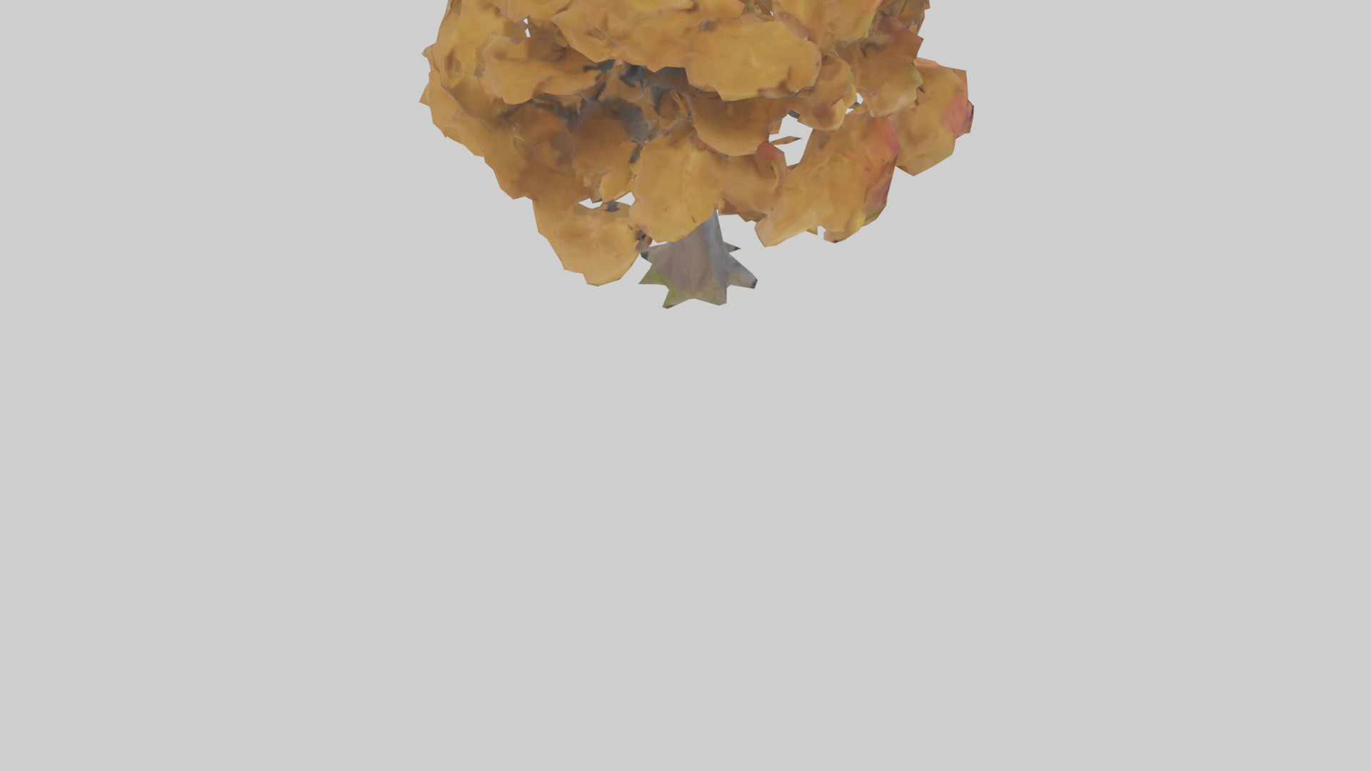 Maple tree model Low-poly 3D model_4