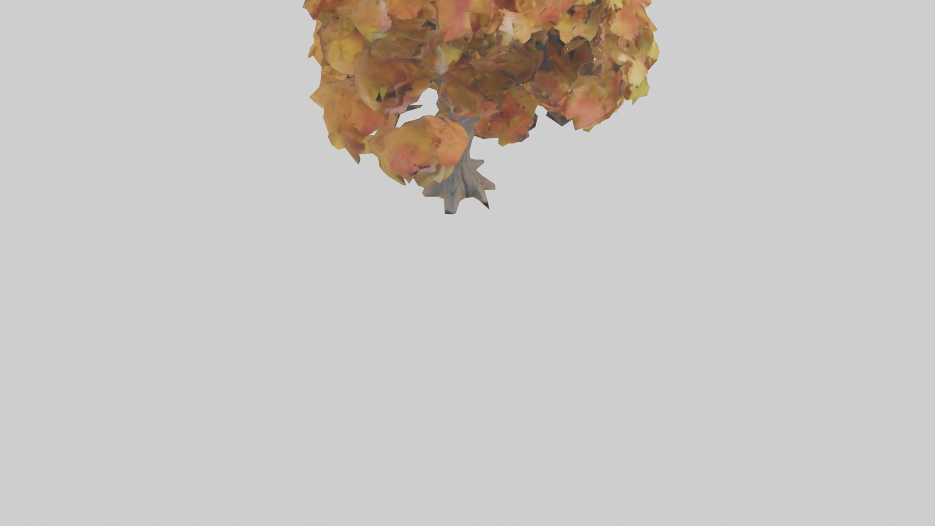 Maple tree model Low-poly 3D model_6