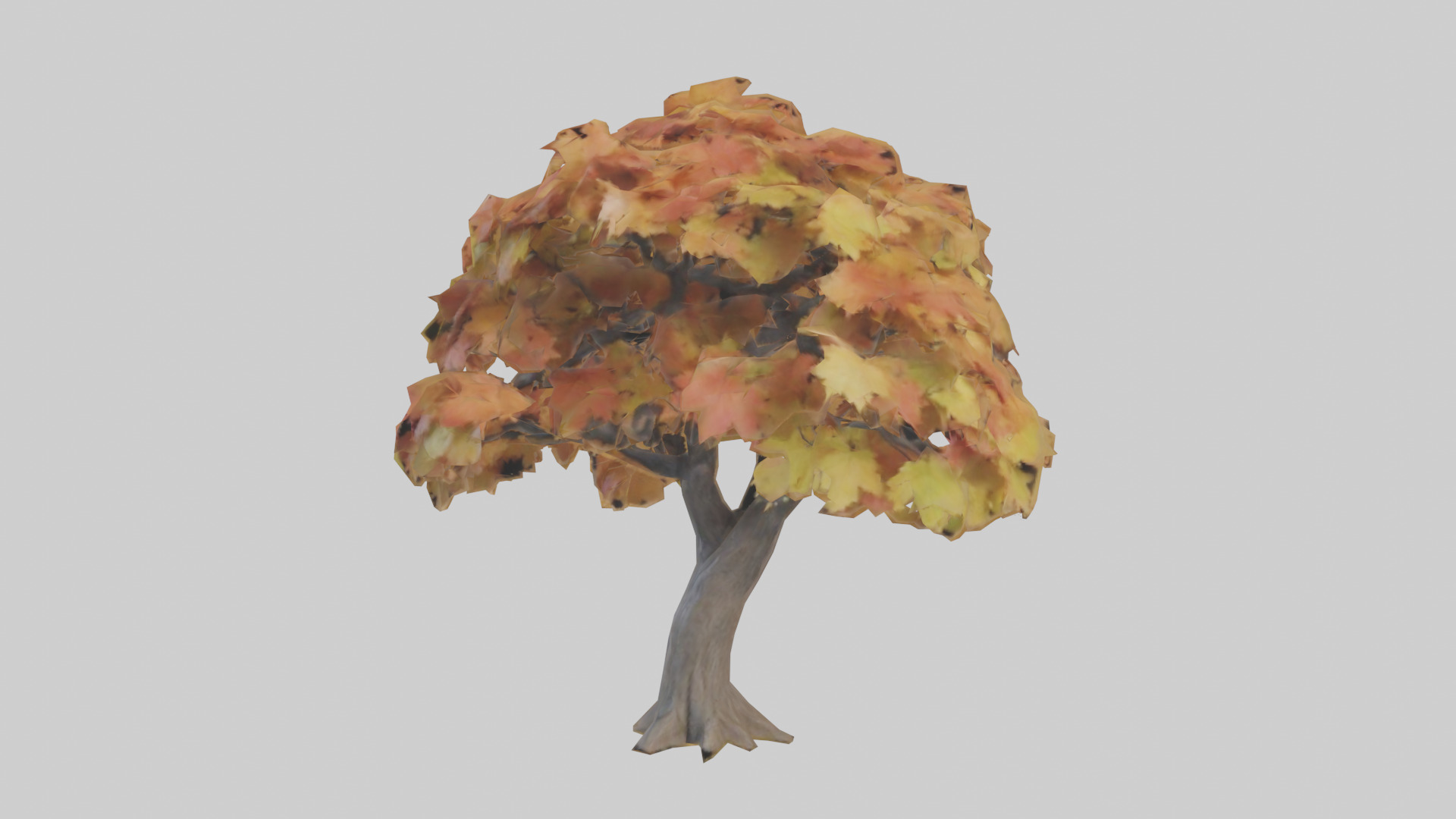 Maple tree model Low-poly 3D model_9