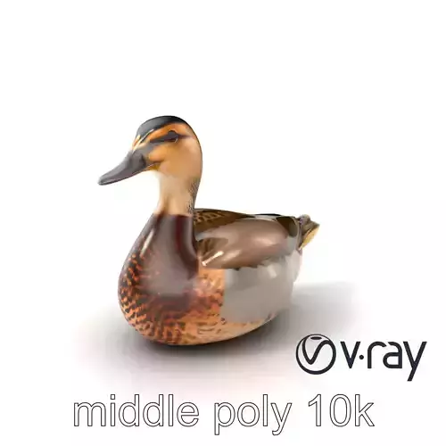 Realistic Duck with Brown-and-White Pattern Model Pack Low-poly 3D model