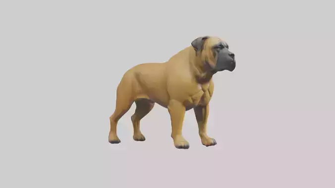 Bull Mastiff guarding model