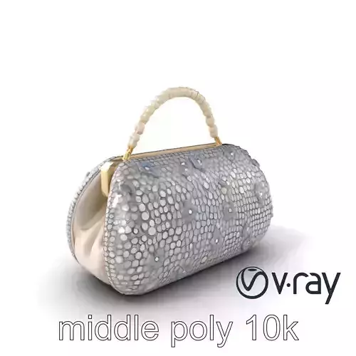 Glamorous Crystal Evening Bag model pack