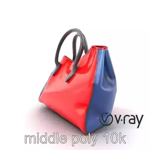 Avant-Garde Asymmetrical Handbag model pack