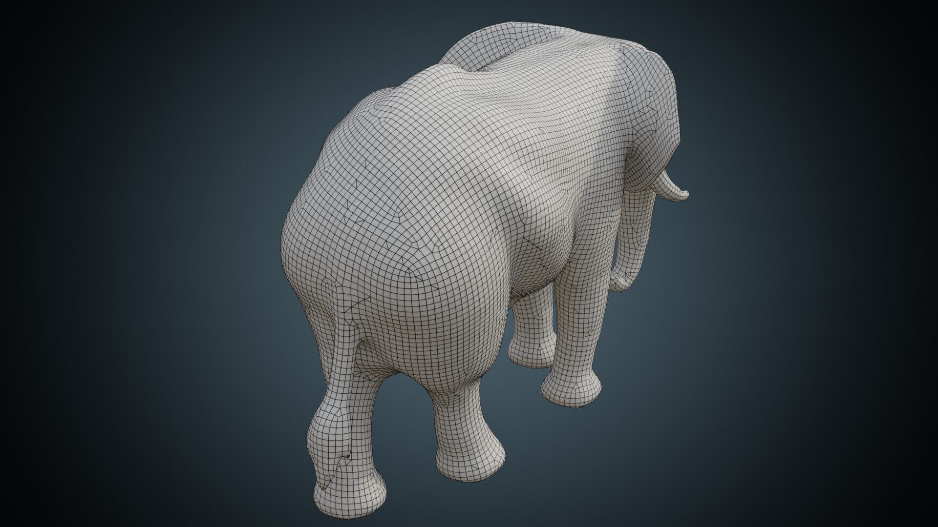 Elephant 1 Lowpoly Low-poly 3D model_6