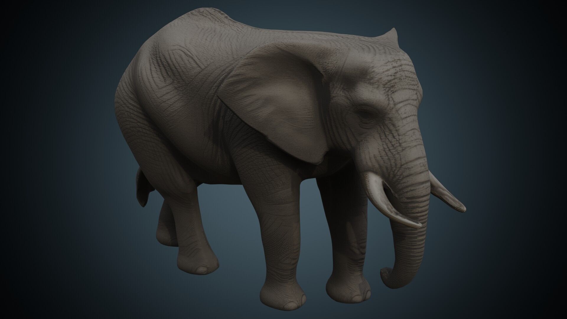Elephant 1 Lowpoly Low-poly 3D model_1