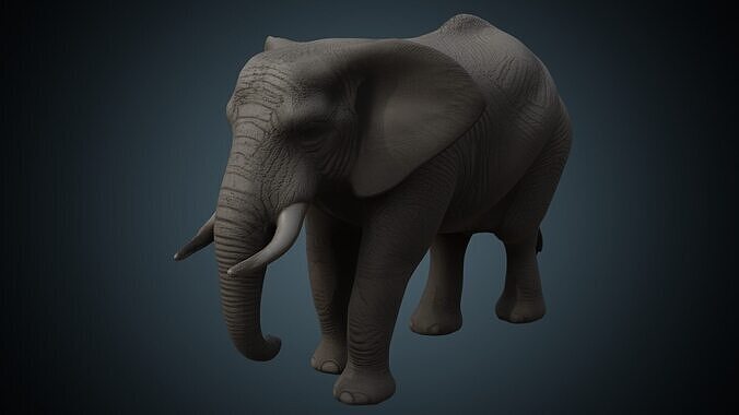 Elephant 1 Lowpoly Low-poly 3D model