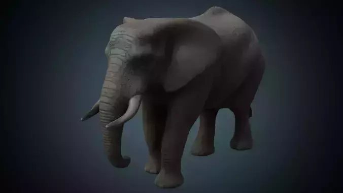 Elephant 1 Lowpoly Low-poly 3D model