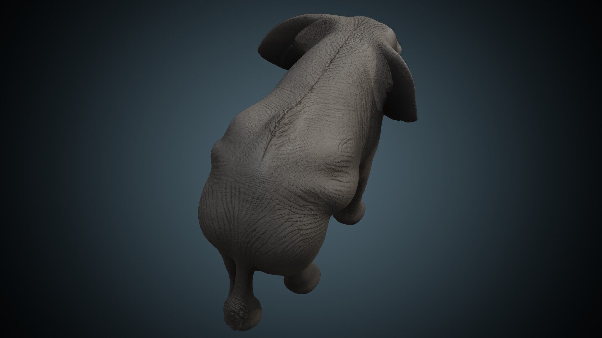 Elephant 1 Lowpoly Low-poly 3D model_2