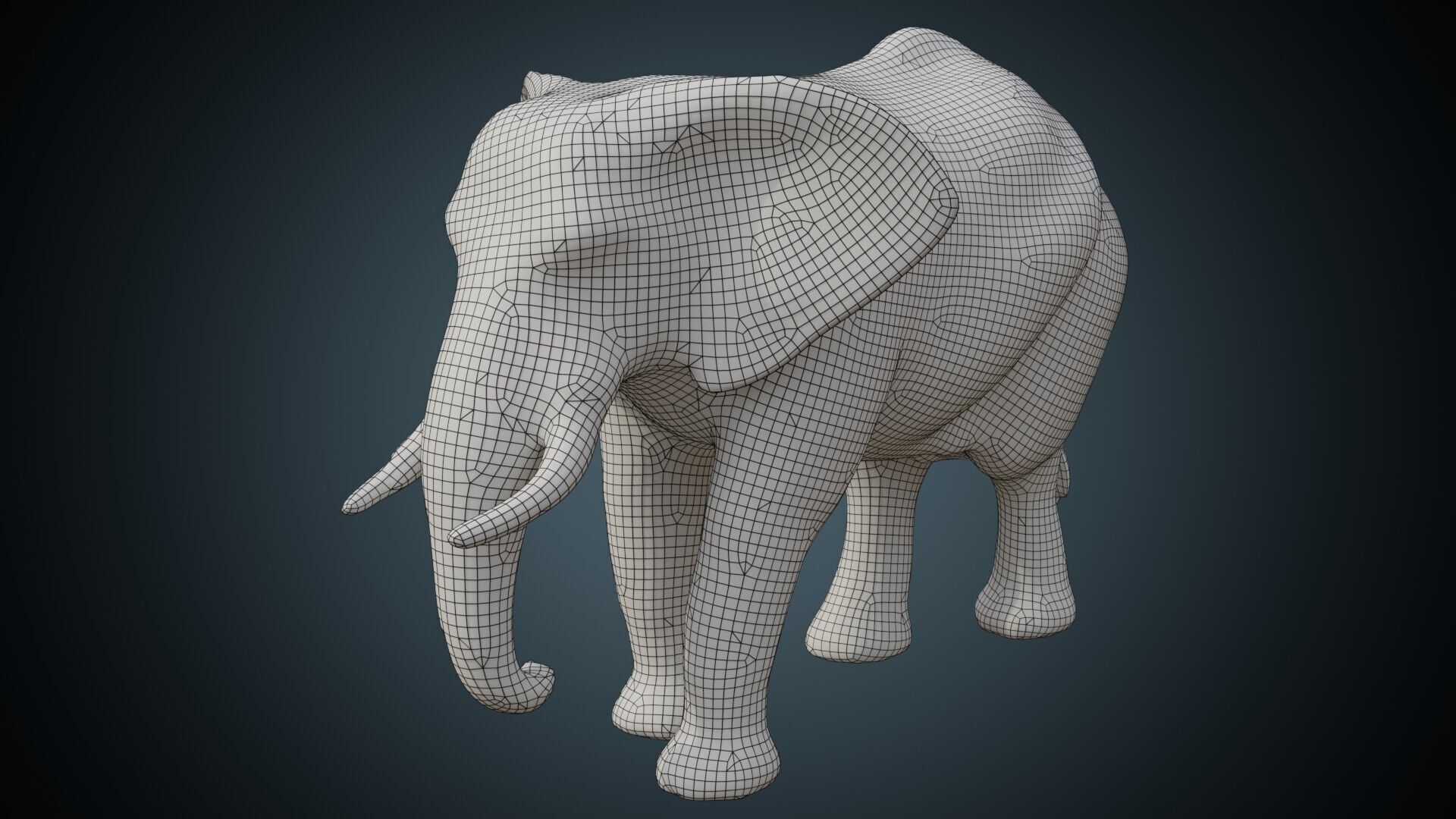 Elephant 1 Lowpoly Low-poly 3D model_5