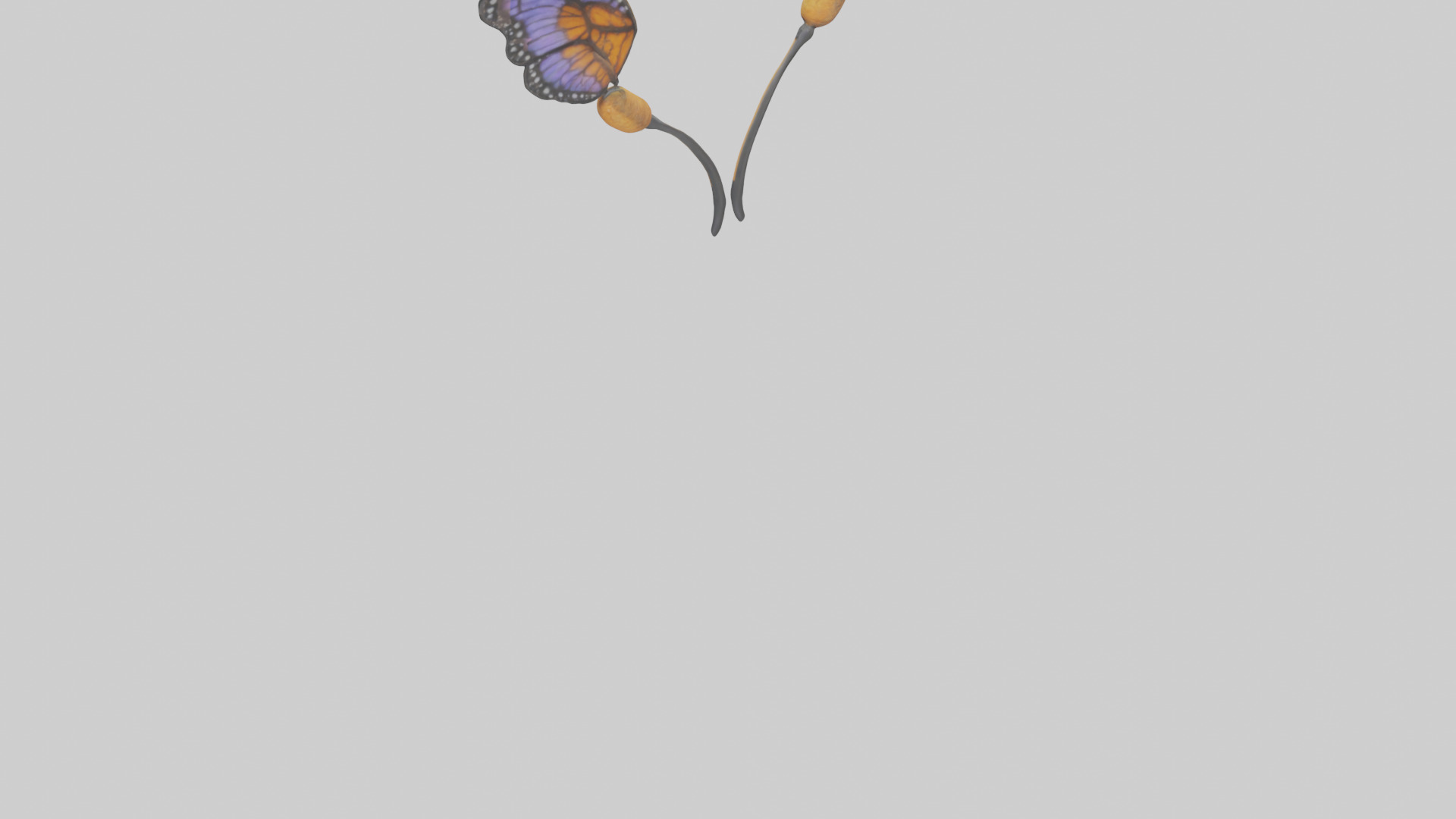 Butterfly Antennae Model Low-poly 3D model_3