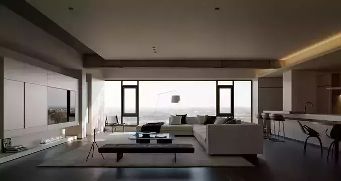 Apartment interior scenes    