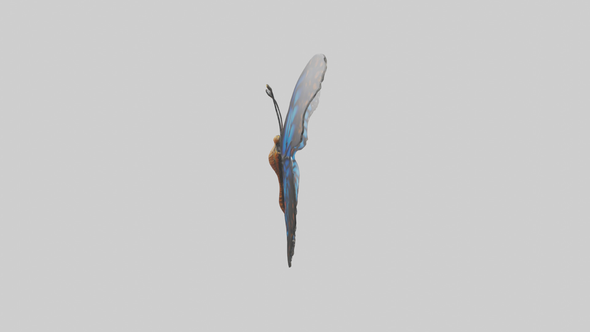 Butterfly Wings Model Low-poly 3D model_23