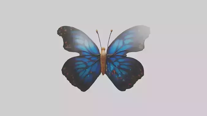 Butterfly Wings Model
