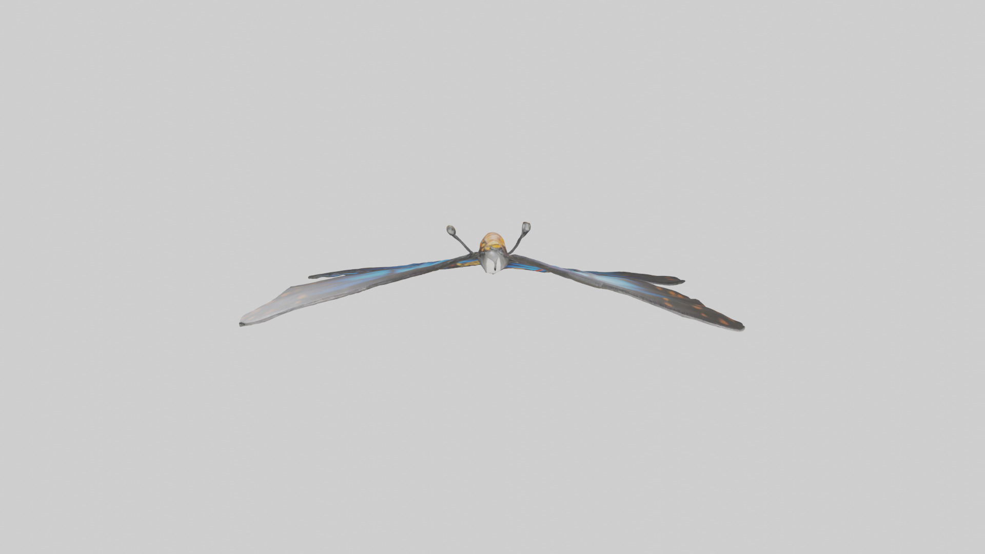 Butterfly Wings Model Low-poly 3D model_24