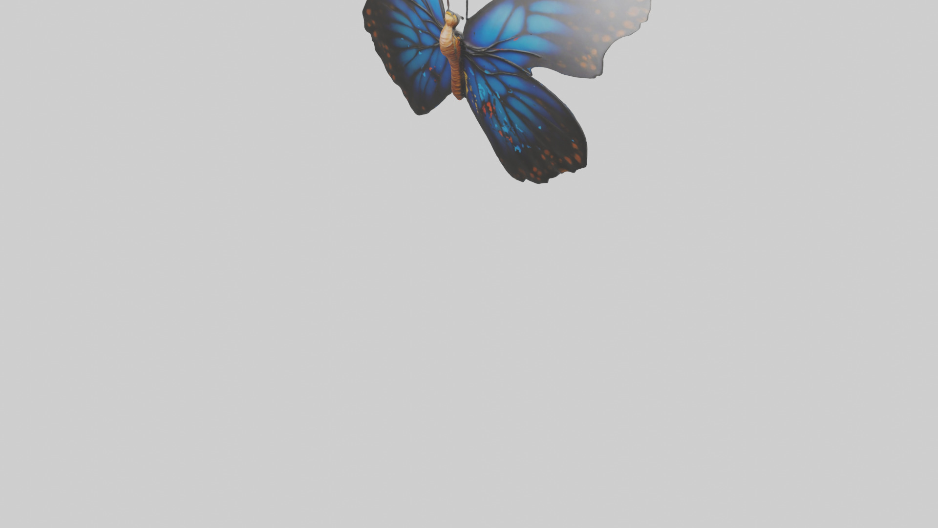 Butterfly Wings Model Low-poly 3D model_4