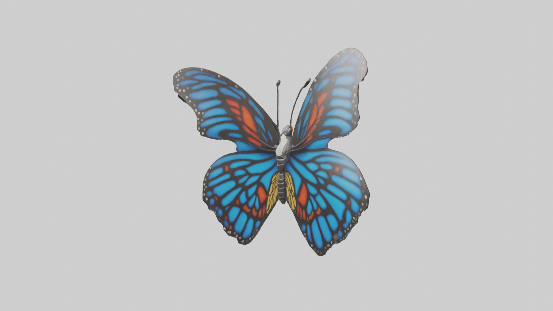Butterfly Wings Model Low-poly 3D model_11