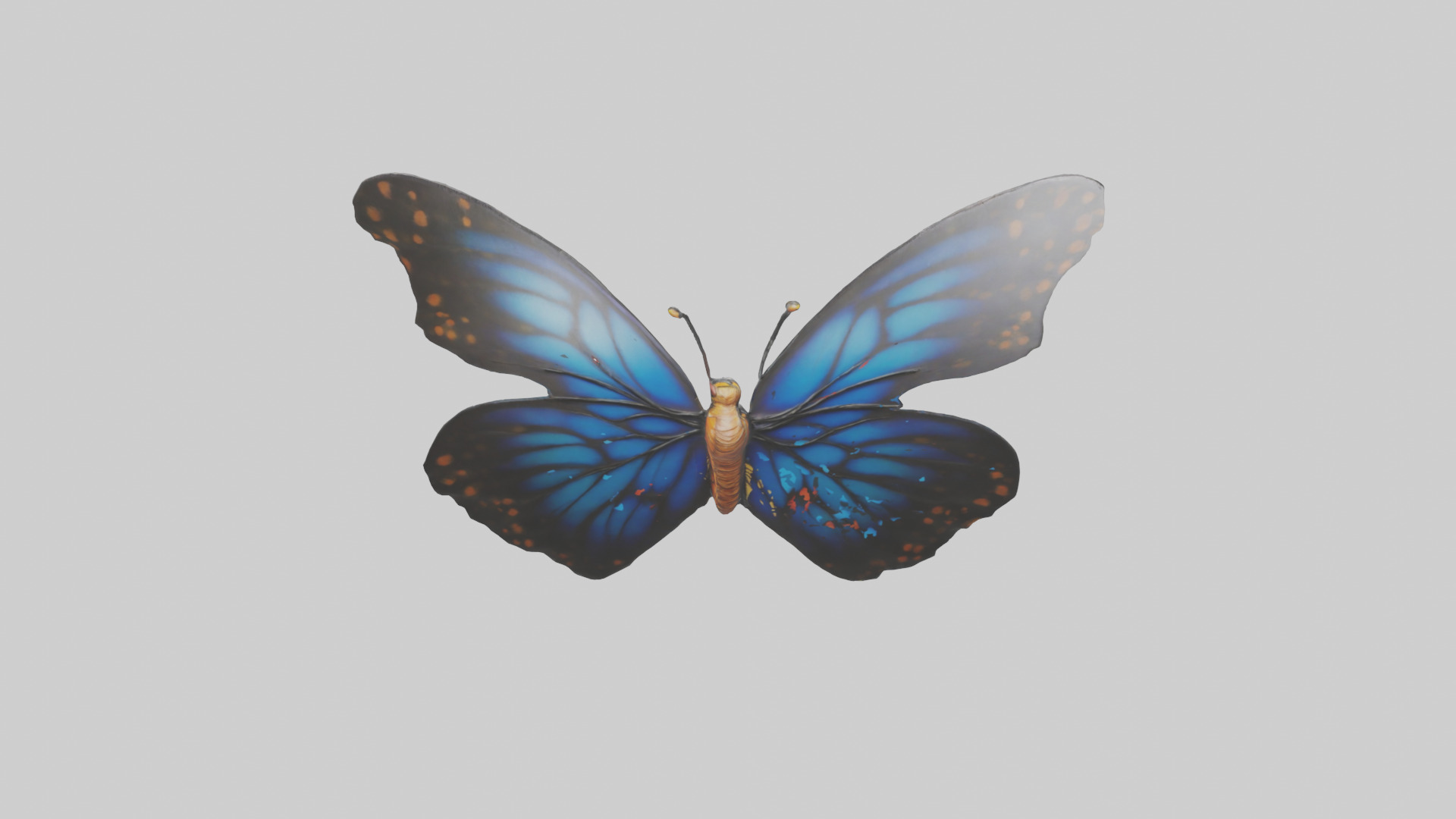 Butterfly Wings Model Low-poly 3D model_25