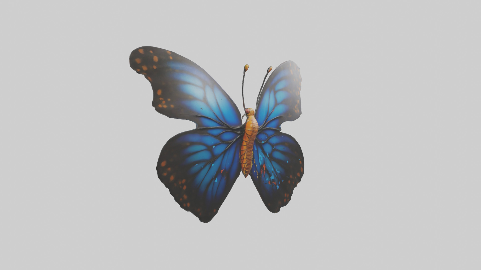 Butterfly Wings Model Low-poly 3D model_1