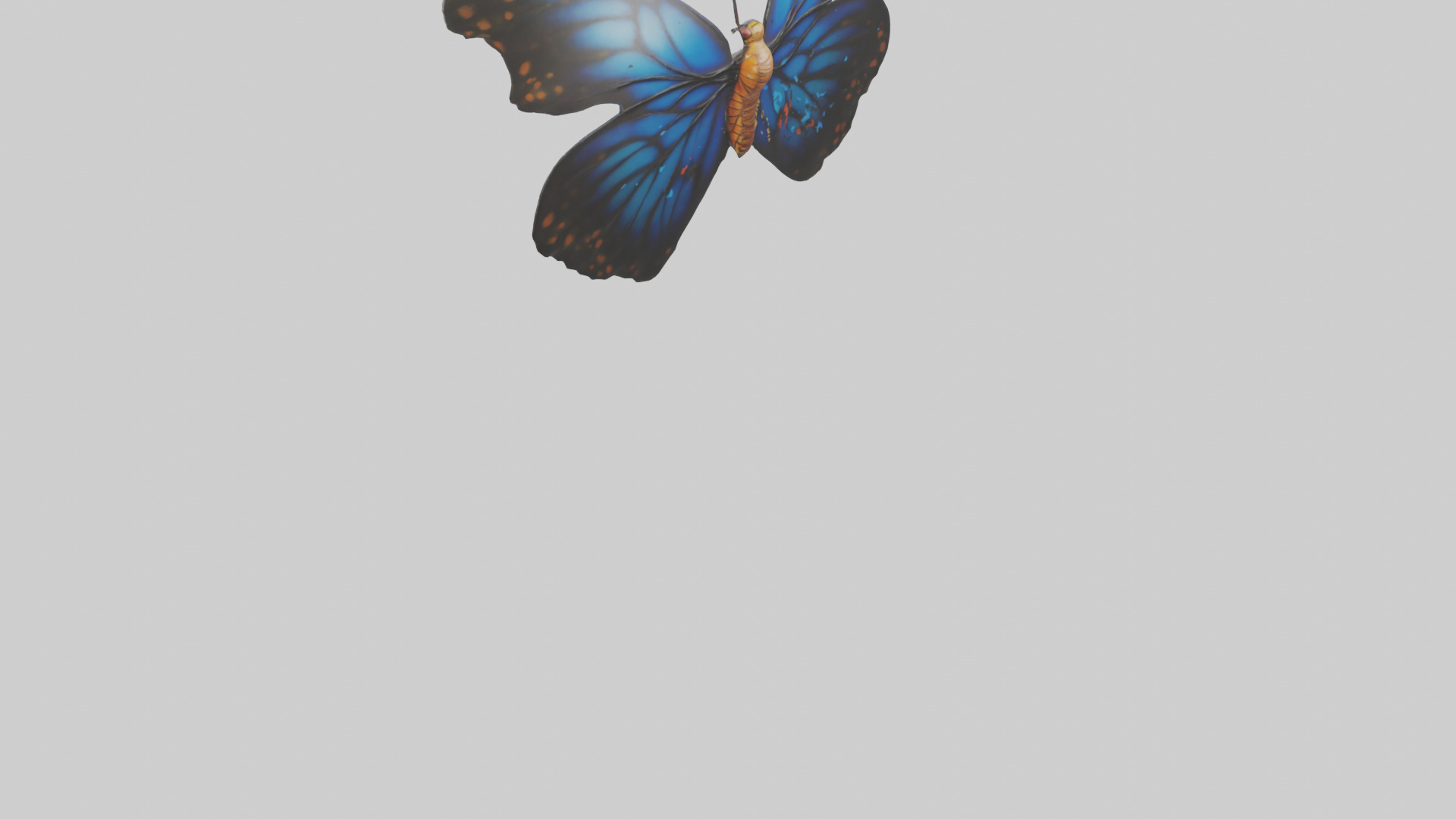 Butterfly Wings Model Low-poly 3D model_3