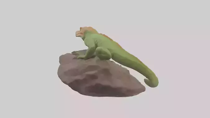 Caiman Lizard basking model