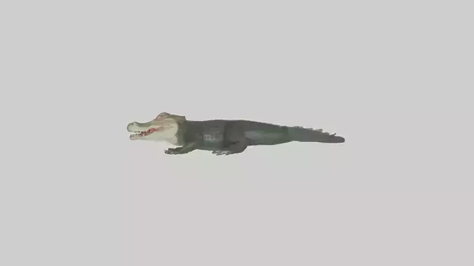 Caiman lurking in water model