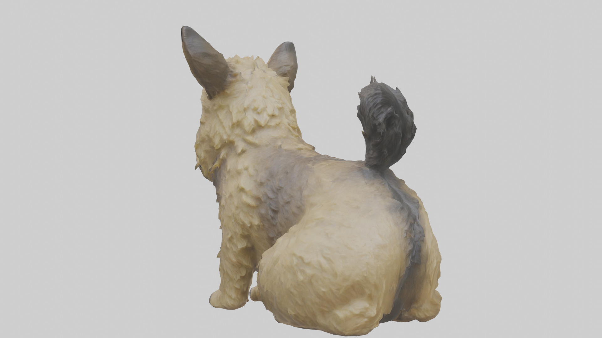 Cairn Terrier sitting model Low-poly 3D model_1