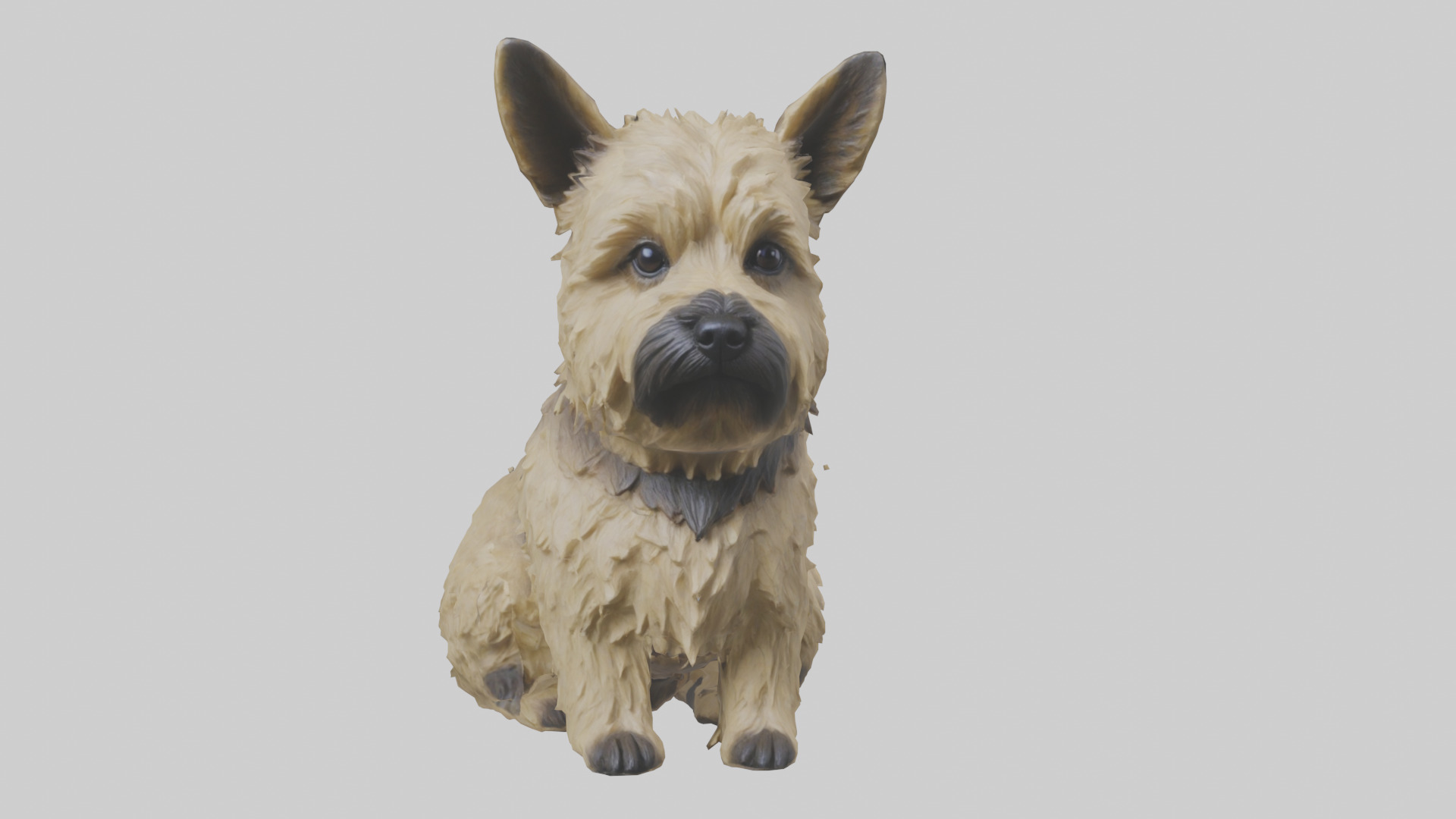 Cairn Terrier sitting model Low-poly 3D model_18