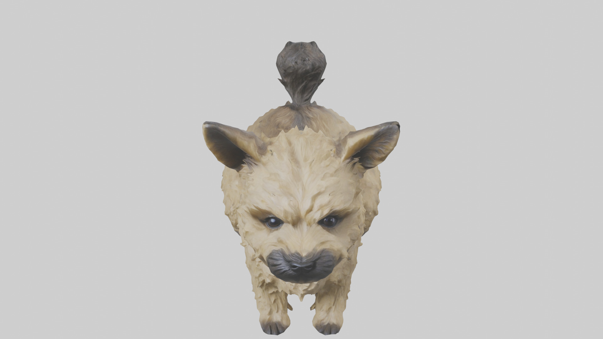Cairn Terrier sitting model Low-poly 3D model_26