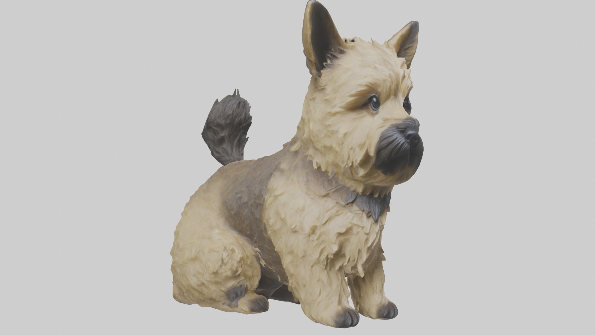 Cairn Terrier sitting model Low-poly 3D model_7