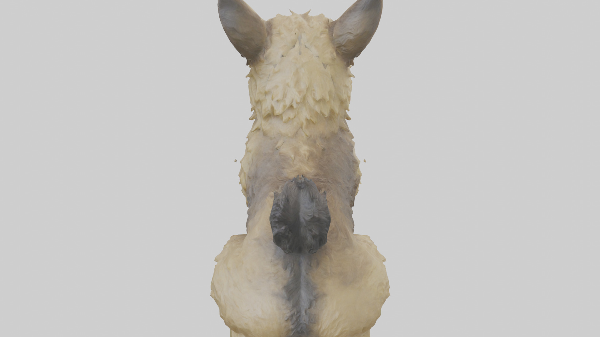 Cairn Terrier sitting model Low-poly 3D model_25