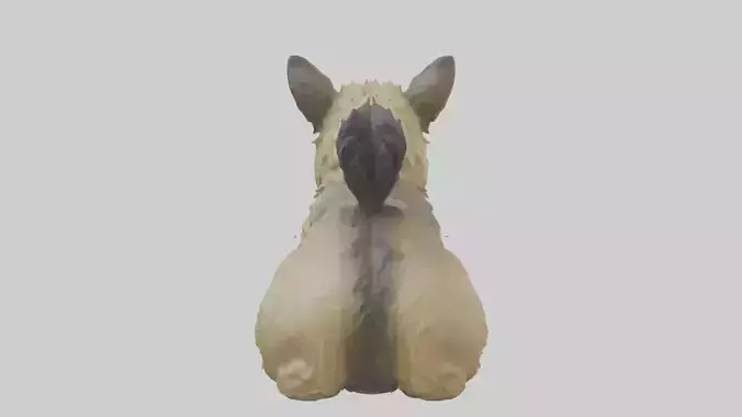 Cairn Terrier sitting model Low-poly 3D model