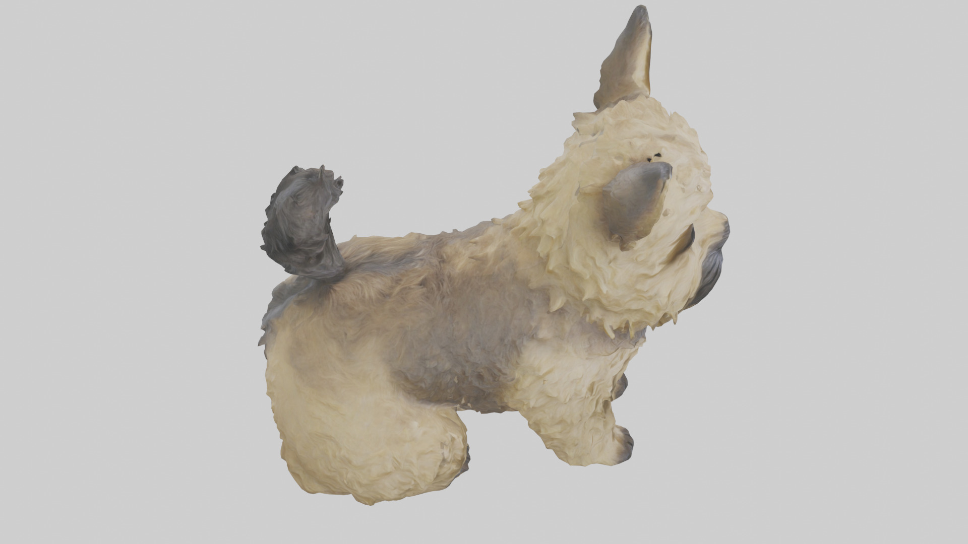 Cairn Terrier sitting model Low-poly 3D model_28