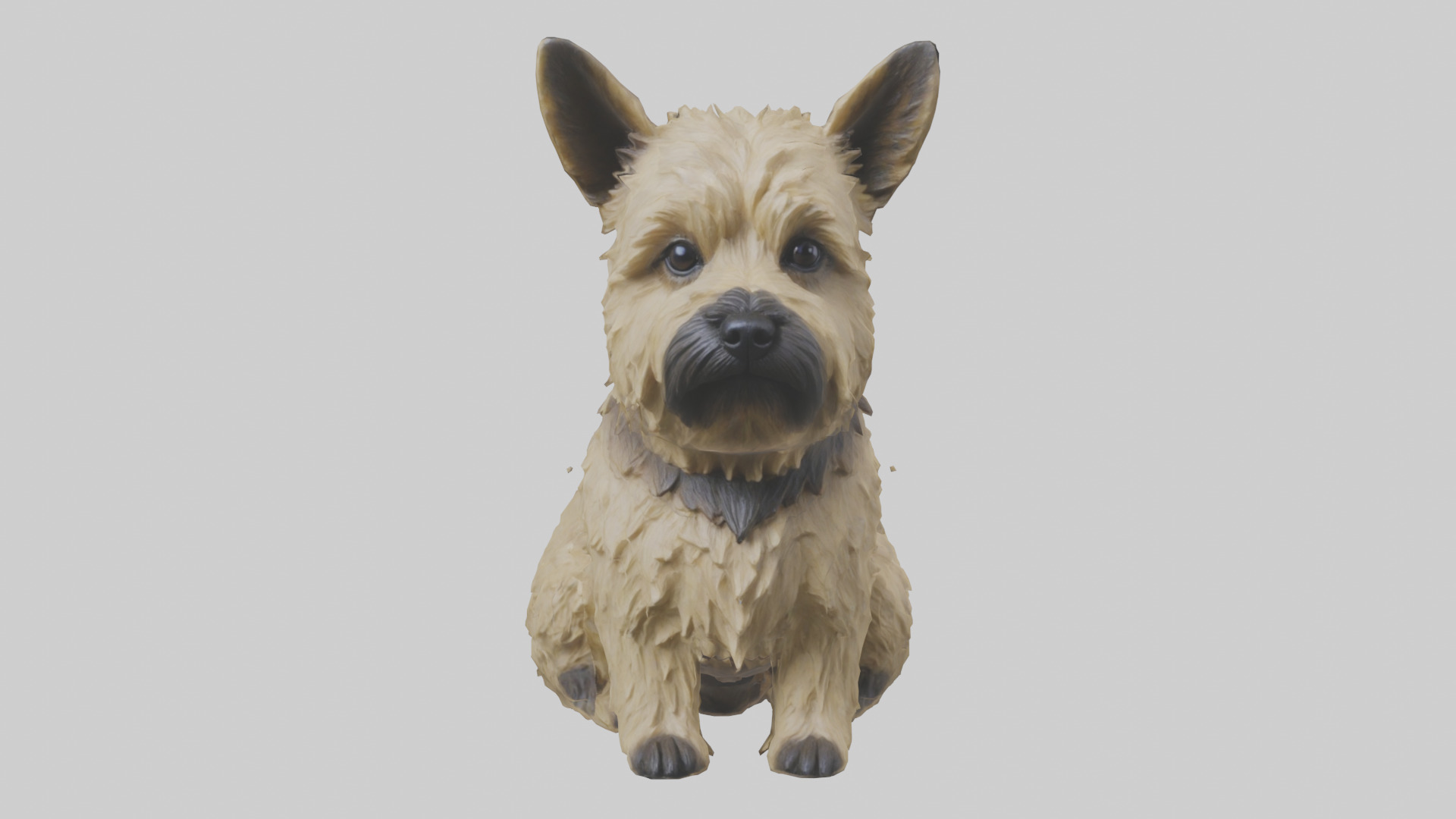 Cairn Terrier sitting model Low-poly 3D model_19