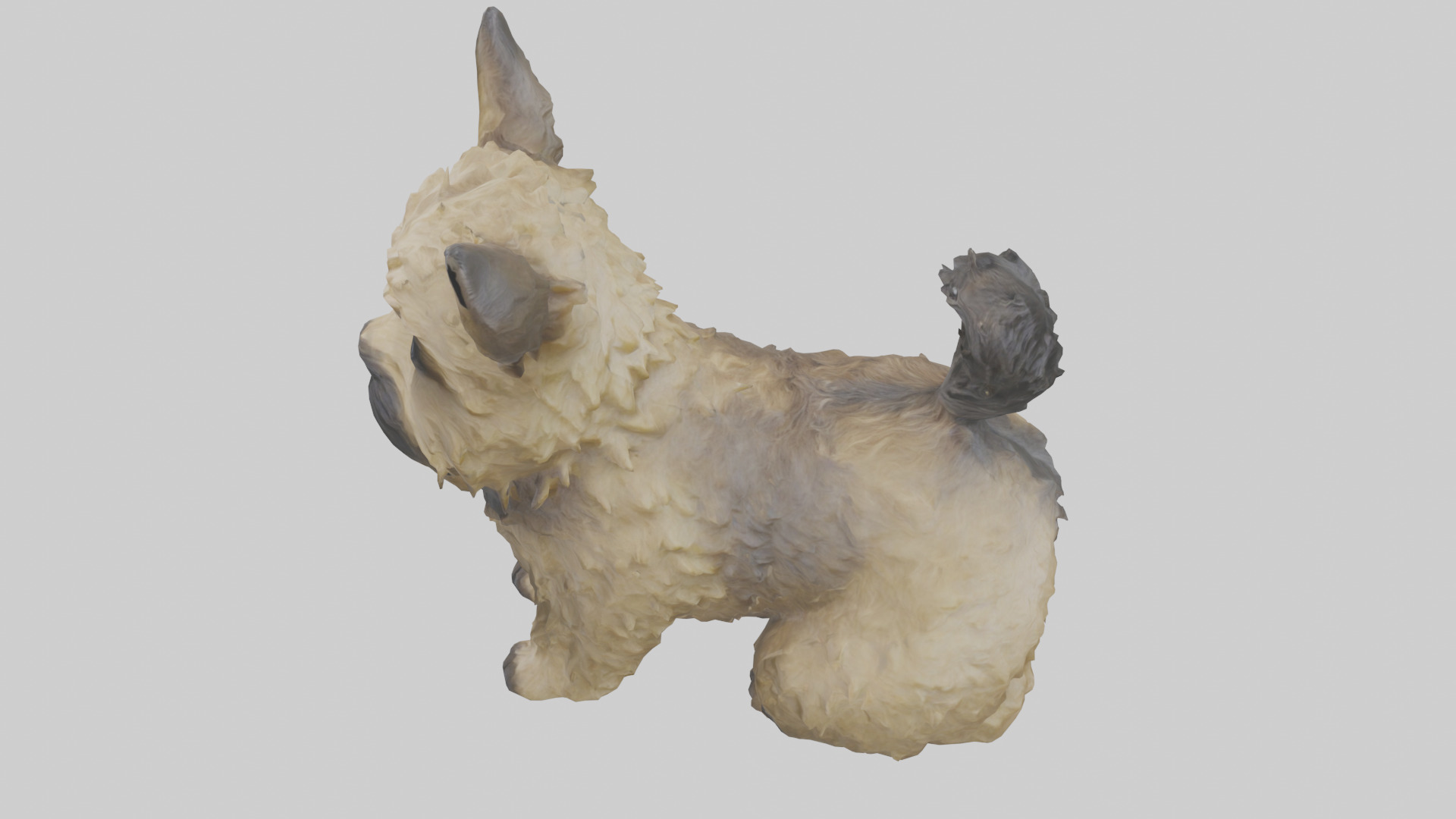 Cairn Terrier sitting model Low-poly 3D model_27
