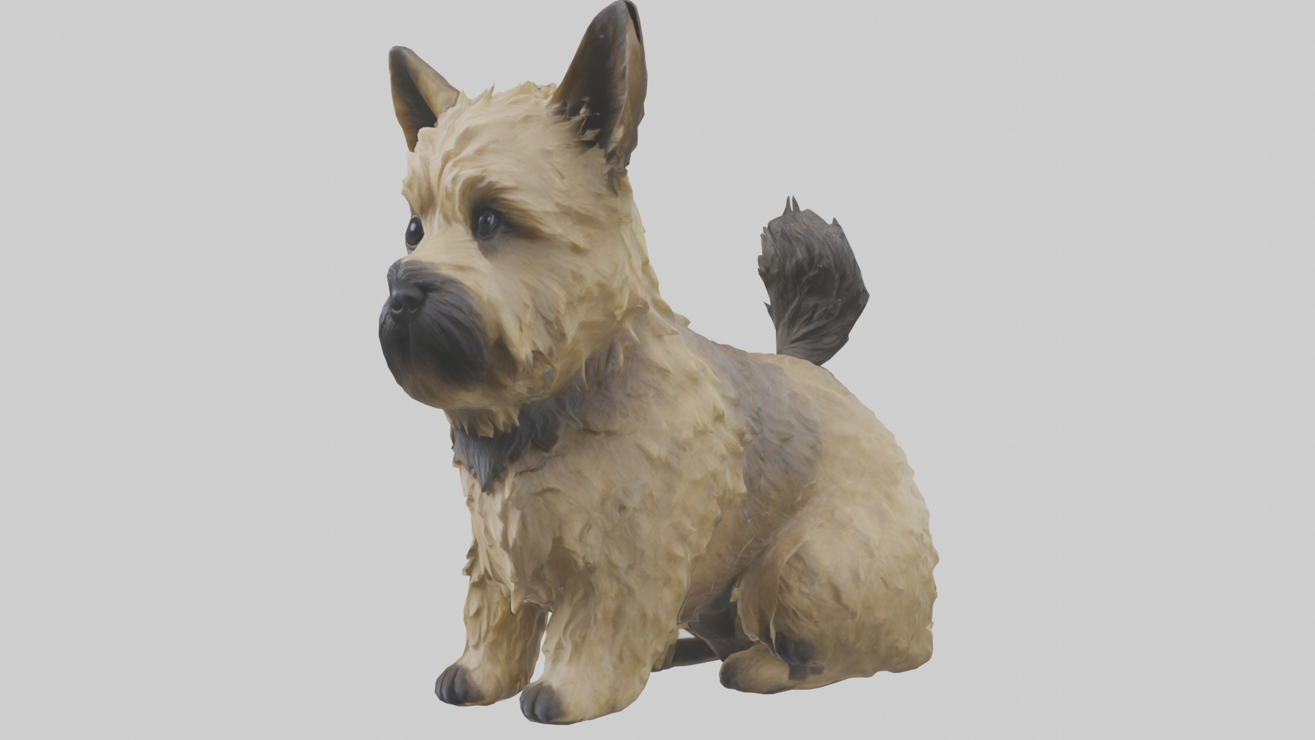 Cairn Terrier sitting model Low-poly 3D model_8