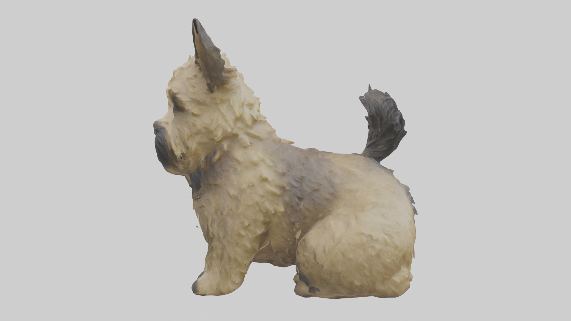 Cairn Terrier sitting model Low-poly 3D model_22